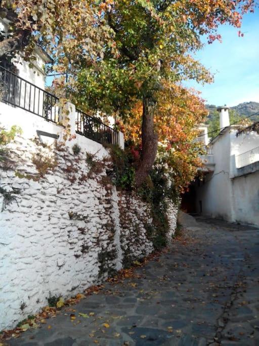 Casa Margarita Villa Bubión Buitenkant foto